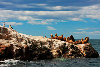 Río Gallegos - Comodoro Rivadavia