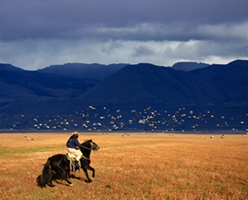 Vicuña Mackenna - Córdoba