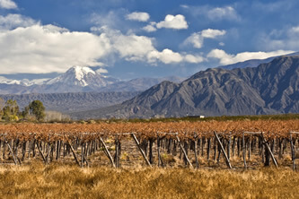 Retiro - Mendoza