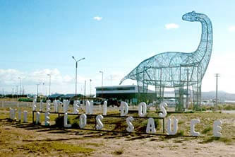 Rincón de los Sauces - Catriel